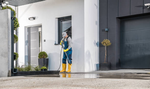 Best Spring Cleaning  in Hodgkins, IL